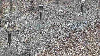 Weather camera view of Cincinnati Nature Center.