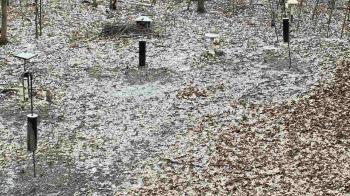 Weather camera view of Cincinnati Nature Center.