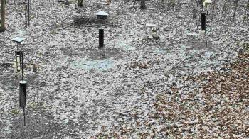 Weather camera view of Cincinnati Nature Center.