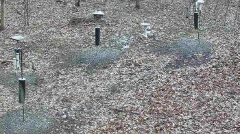 Weather camera view of Cincinnati Nature Center.