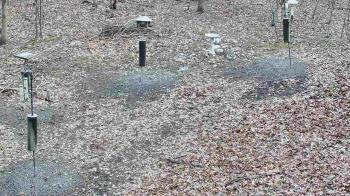Weather camera view of Cincinnati Nature Center.