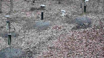 Weather camera view of Cincinnati Nature Center.