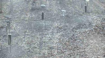 Weather camera view of Cincinnati Nature Center.