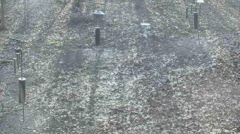 Weather camera view of Cincinnati Nature Center.