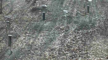 Weather camera view of Cincinnati Nature Center.
