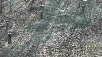 Weather camera view of Cincinnati Nature Center.
