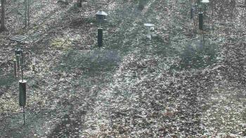 Weather camera view of Cincinnati Nature Center.