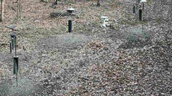 Weather camera view of Cincinnati Nature Center.