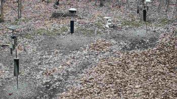 Weather camera view of Cincinnati Nature Center.