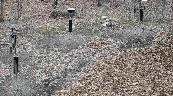 Weather camera view of Cincinnati Nature Center.