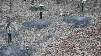 Weather camera view of Cincinnati Nature Center.