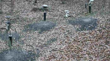Weather camera view of Cincinnati Nature Center.