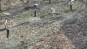 Weather camera view of Cincinnati Nature Center.