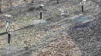 Weather camera view of Cincinnati Nature Center.
