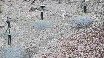 Weather camera view of Cincinnati Nature Center.