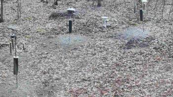 Weather camera view of Cincinnati Nature Center.