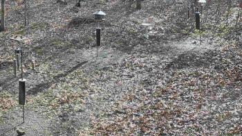 Weather camera view of Cincinnati Nature Center.