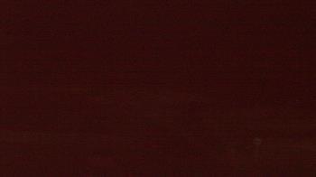 Weather camera view of Beach Patrol HQ.