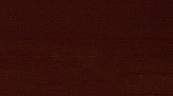 Weather camera view of Beach Patrol HQ.