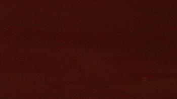 Weather camera view of Beach Patrol HQ.