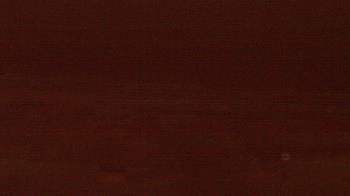 Weather camera view of Beach Patrol HQ.