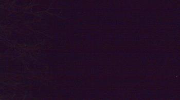 Weather camera view of Farmersville School.