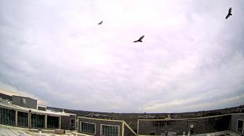 Weather camera view of Nantucket High School.