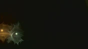 Weather camera view of John M Moriarty ES.