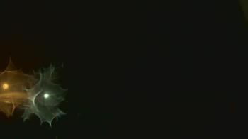 Weather camera view of John M Moriarty ES.