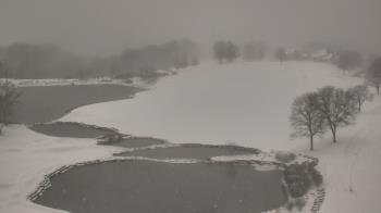 Weather camera view of The Club at Nevillewood.