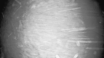 Weather camera view of St Johns Lutheran School.