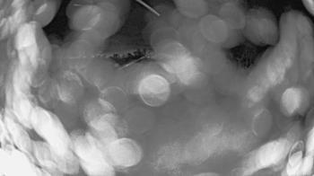 Weather camera view of St Johns Lutheran School.