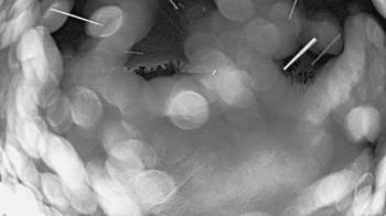 Weather camera view of St Johns Lutheran School.