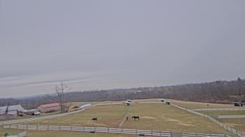 Weather camera view of Orchard Hill.