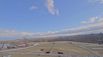 Weather camera view of Orchard Hill.