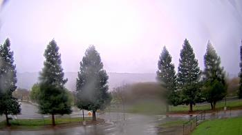 Weather camera view of Pleasanton MS.