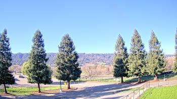 Weather camera view of Pleasanton MS.