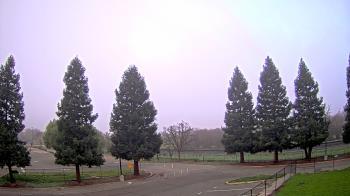 Weather camera view of Pleasanton MS.