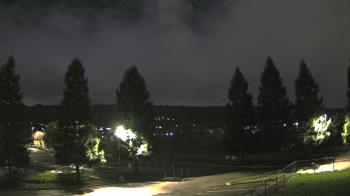 Weather camera view of Pleasanton MS.