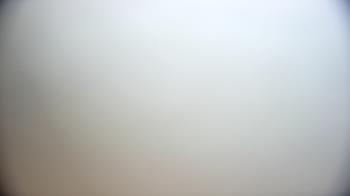 Weather camera view of Cardinal Ormond Lifeguard Station 2.