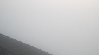 Weather camera view of Portofino Island Resort and Spa.