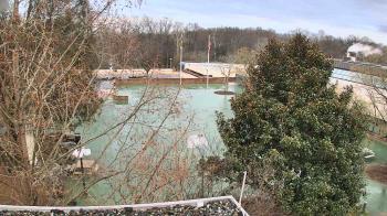 Weather camera view of German School of Washington.