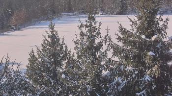 Weather camera view of Stuart Country Day School.