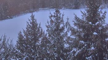 Weather camera view of Stuart Country Day School.