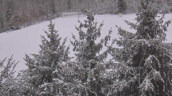 Weather camera view of Stuart Country Day School.