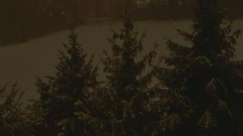 Weather camera view of Stuart Country Day School.