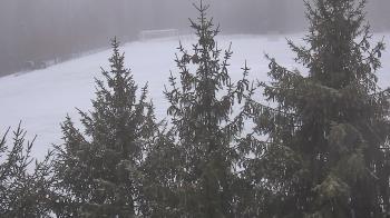 Weather camera view of Stuart Country Day School.