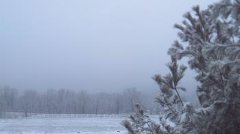 Weather camera view of French Creek ES.