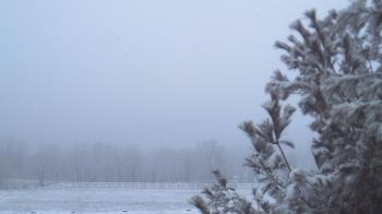 Weather camera view of French Creek ES.