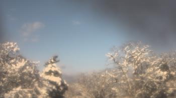 Weather camera view of Saint Peter School.